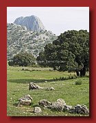- Andalusien Landschaft 11